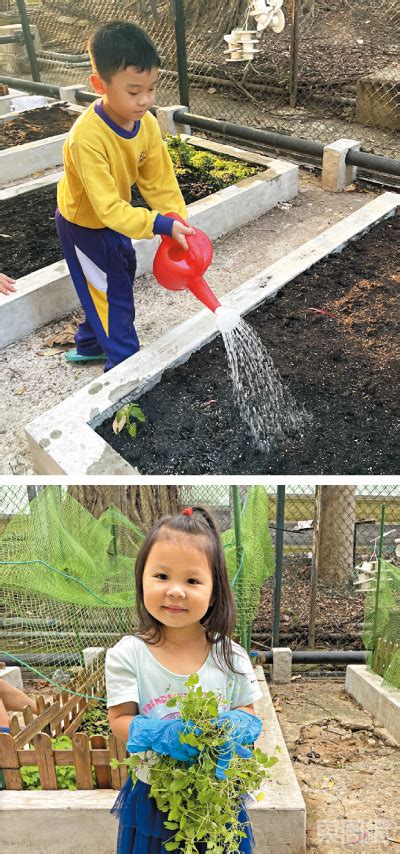 小朋友種植物|【親子種植樂】在家種植懶人包 培育小孩耐性的果實